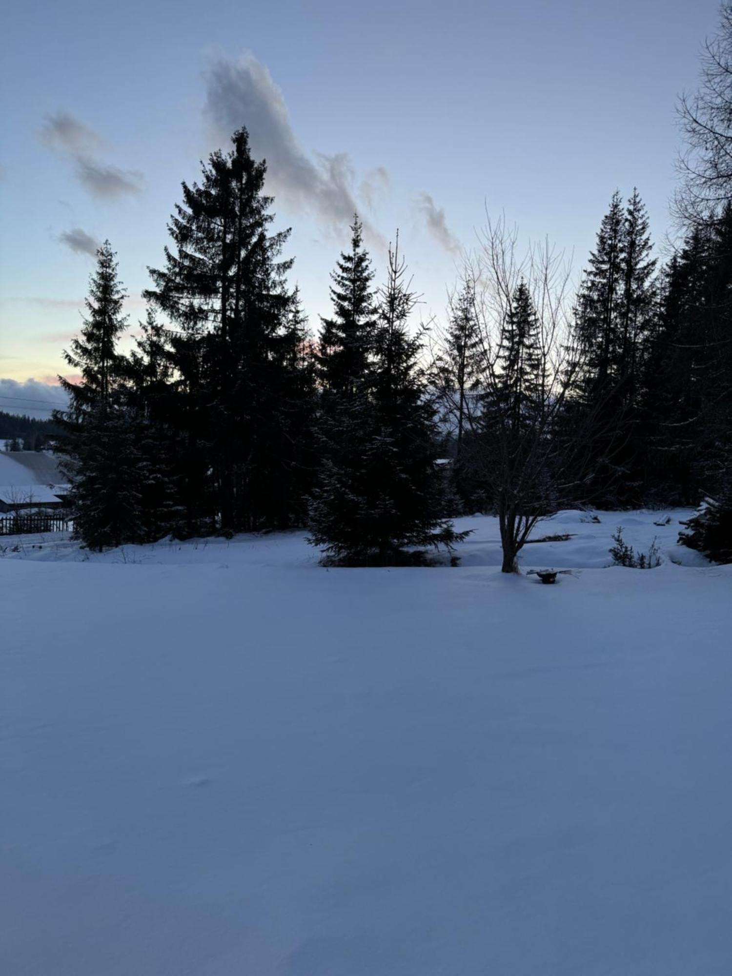 Villa Orawska Knieja 2.0 Lipnica Wielka Esterno foto